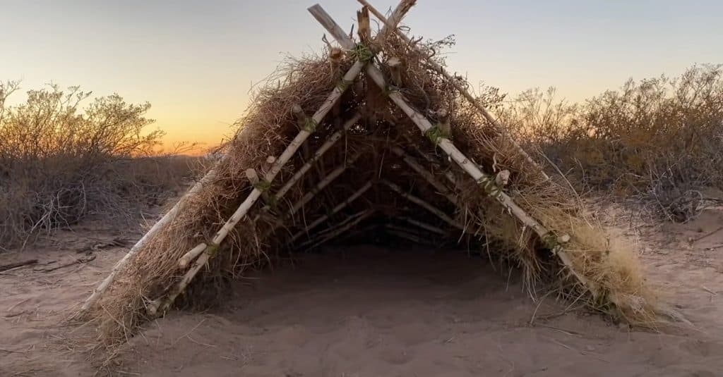 Build A Desert Shelter
