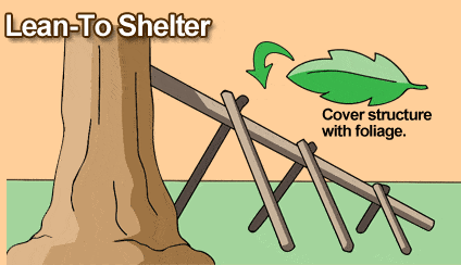 Lean To Shelter