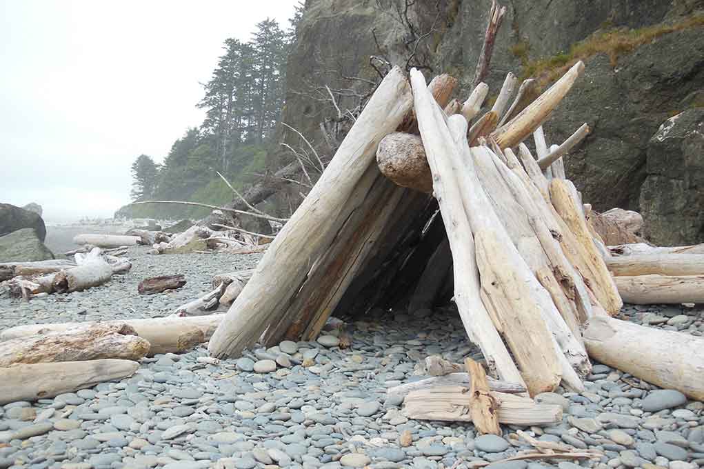 On Dry Land: Shelter And Water | Howstuffworks