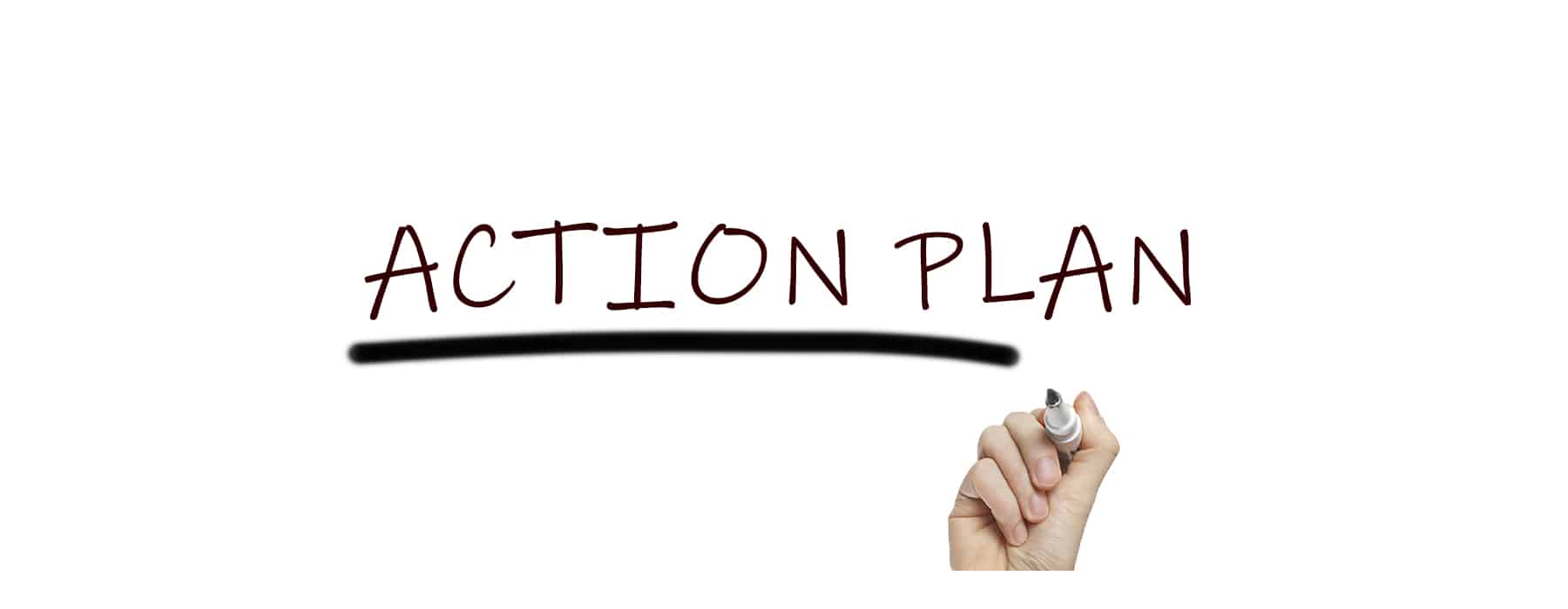 action plan