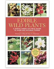 Edible Wild Plants