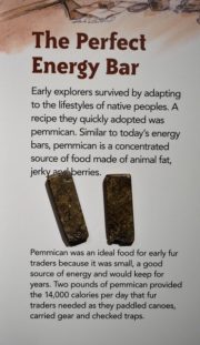 Pemmican Perfect Energy Bar e1529094517180