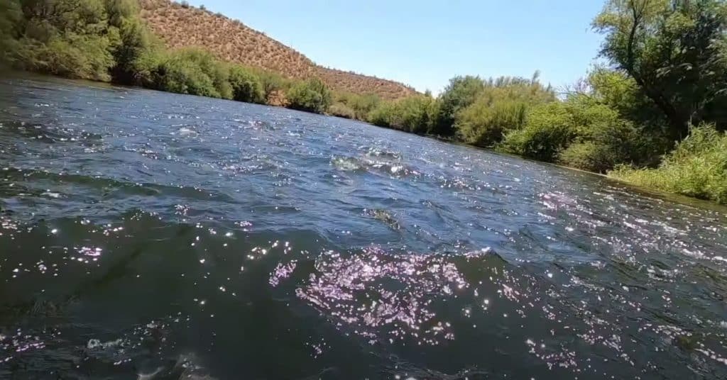 Salt River (Arizona)