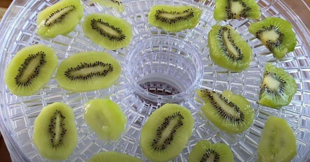 A Few Dehydrating Fruit Tips