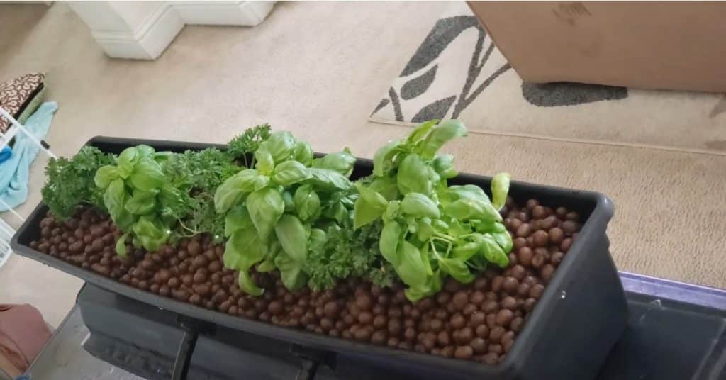 Modifying Your DIY Aquaponics