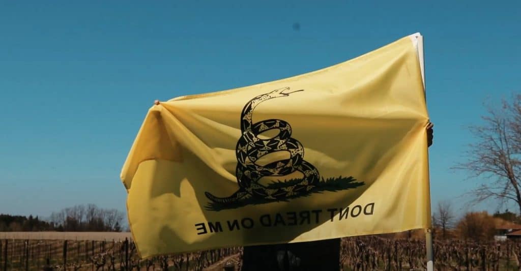Gadsden Flag History & What Does Don’t Tread On Me Meaning Today 