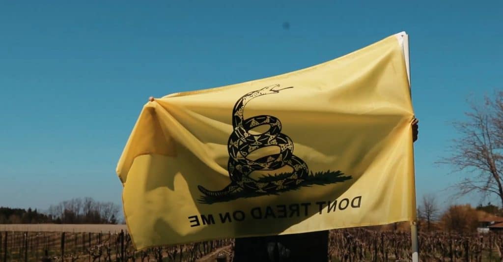 Storia della bandiera di Gadsden e significato di Don't Tread On Me oggi