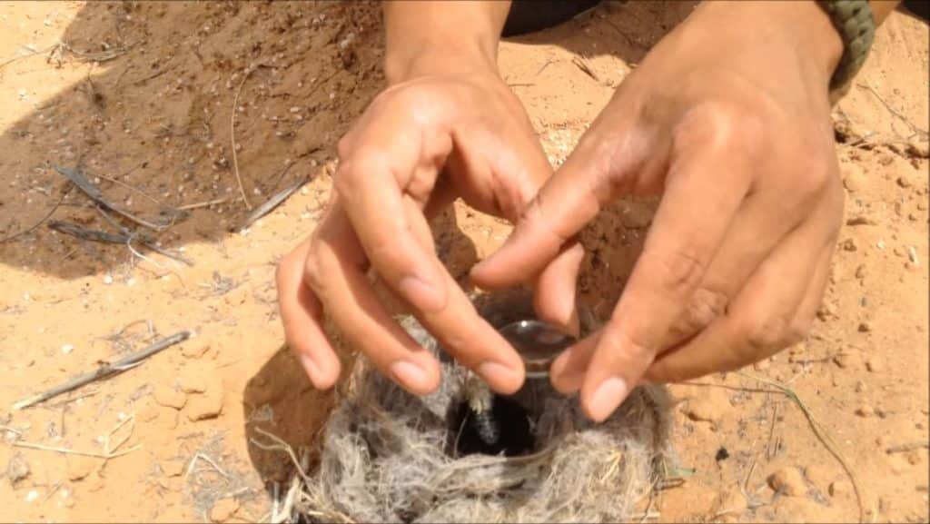 Starting a Fire with a Watch