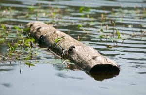 Shelter With Water