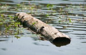 Shelter with water