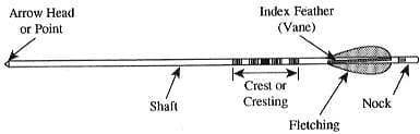 Single-Wooden-Arrow-Basic-Parts