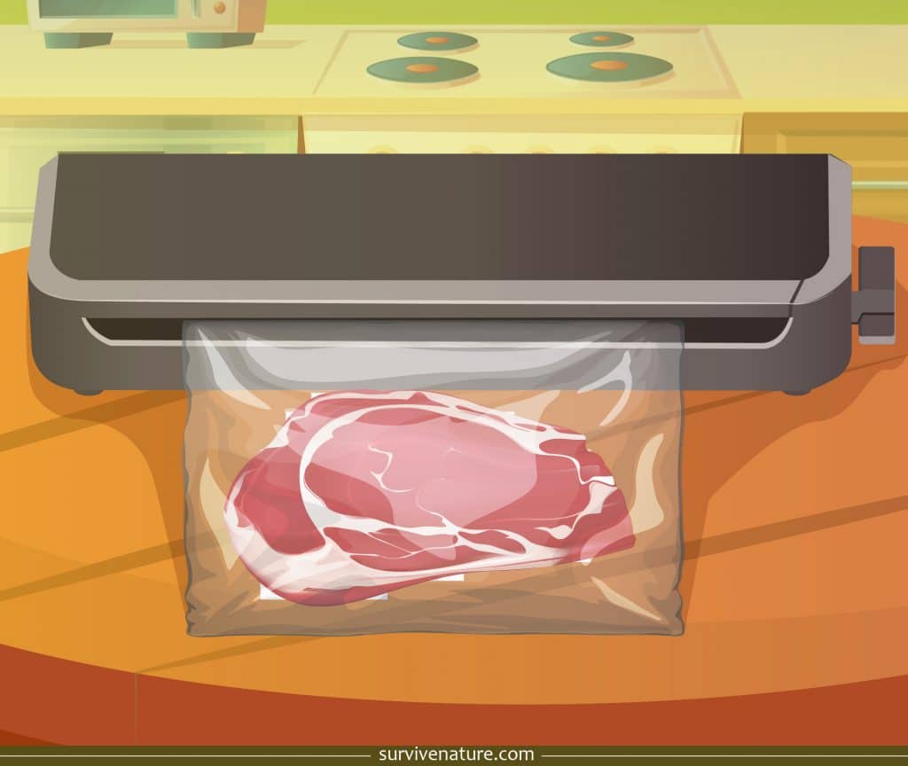 Best Vacuum Sealer Review and Buying Guide Survive Nature