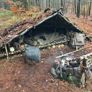 forest camping survival