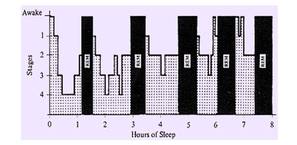 Military Sleep System