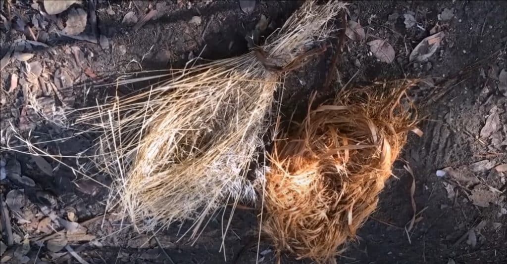 Een extreem brandbare tondel maken