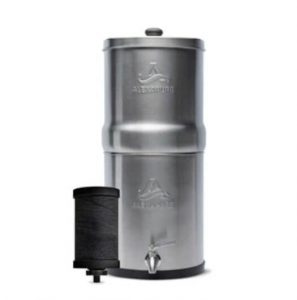 Water filtration system