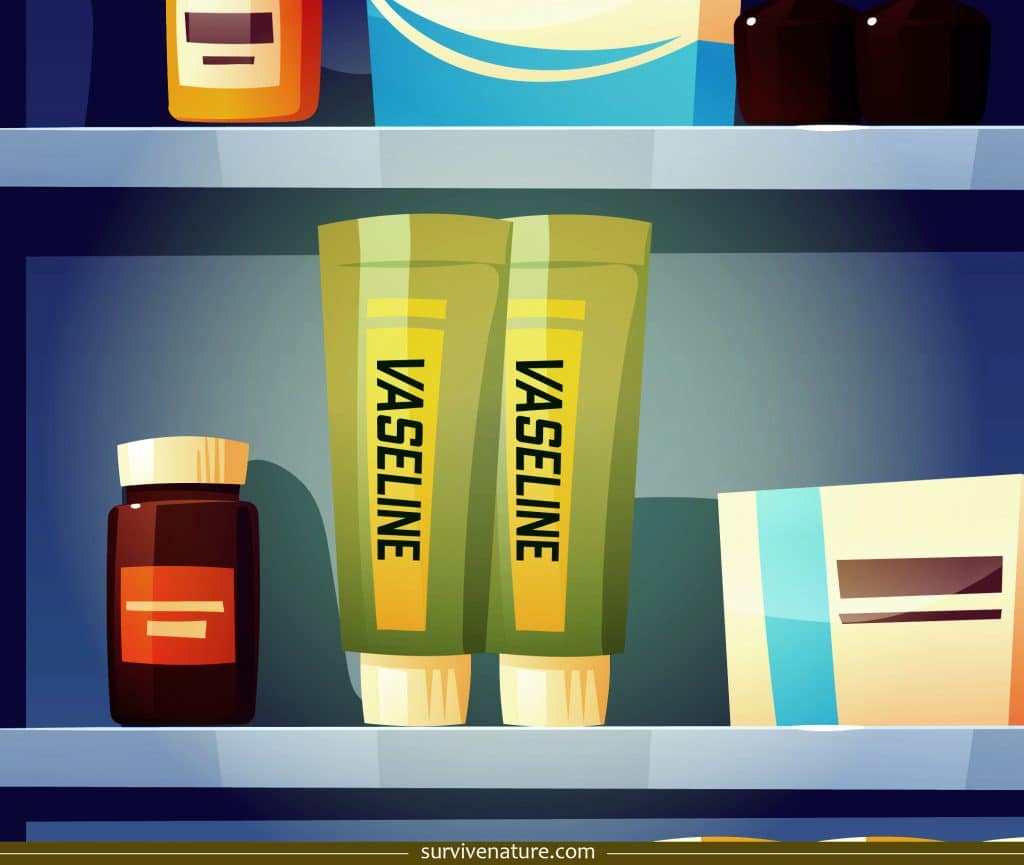 Does Vaseline Expire Survive Nature