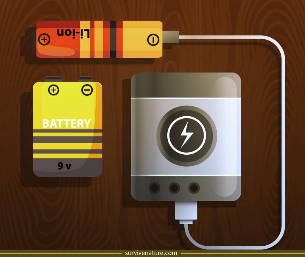 How to Recharge Alkaline Batteries Survive Nature