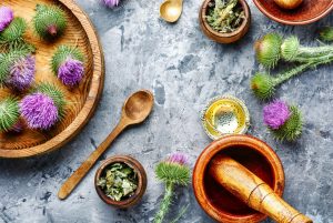 milk-thistle-with-flowers