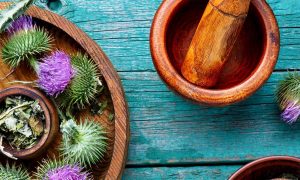 milk-thistle-with-flowers