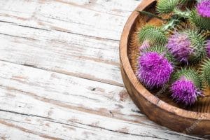 milk-thistle-with-flowers