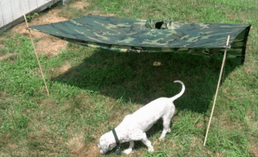 Another pup tent method