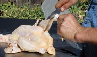 Preparing-Chicken-Fishermansdaughter