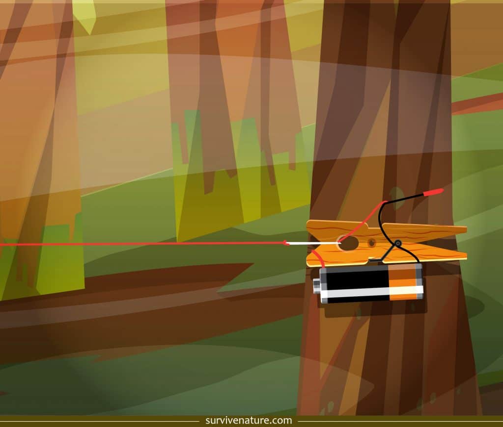 Trip wire - Survive Nature