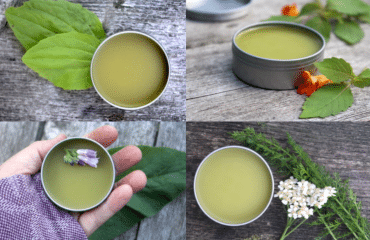 Healing Salve Recipes