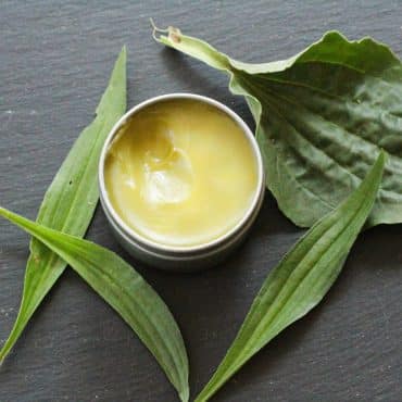 Plantain-Salve