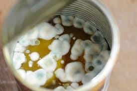 canned-food-expired-moldy