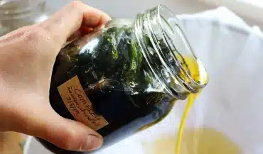 make-comfrey-oil-infused