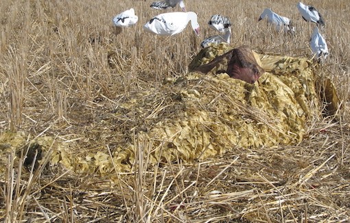 Beavertail-Ghillie-Blanket