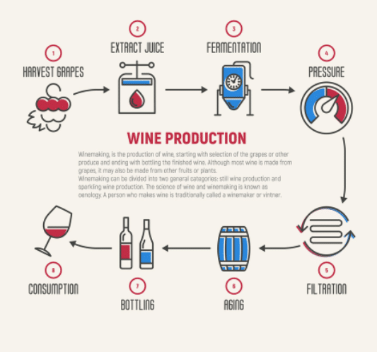 Making-wine-infographic