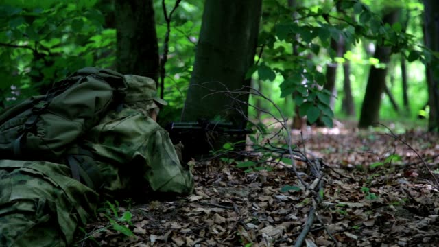 Forest-Ambush