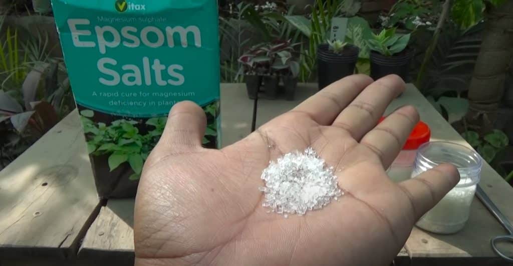 The Nature of Epsom salt