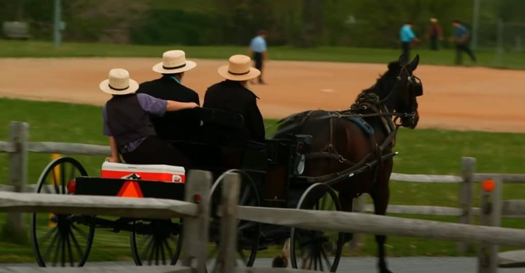 Amish markets. What are they?