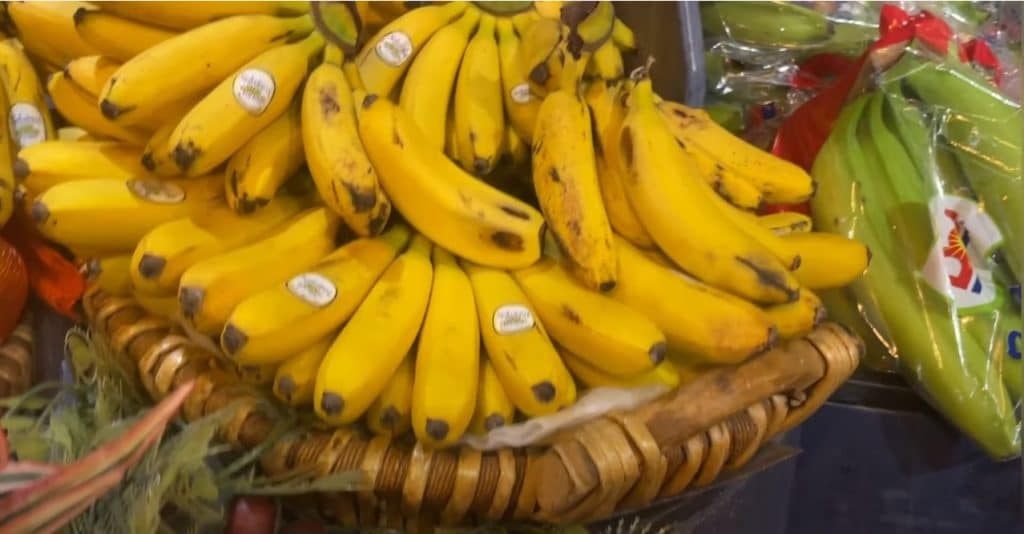 Markets-Produce-Shopping-Compressed