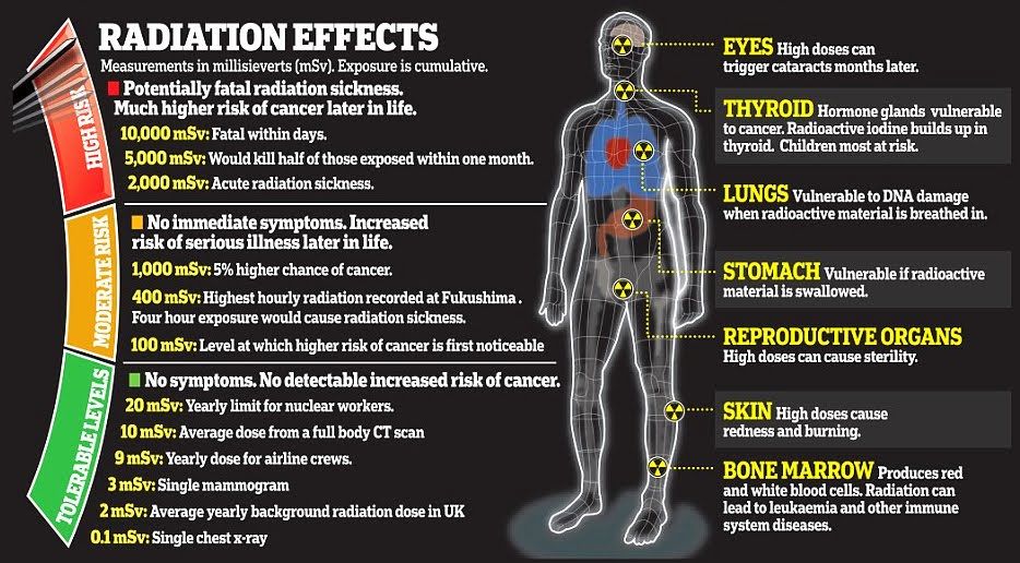 Syndrome d'irradiation aiguë Survivre à la nature