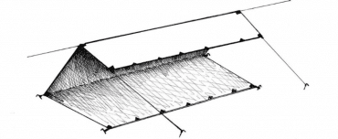 Tarp_1
