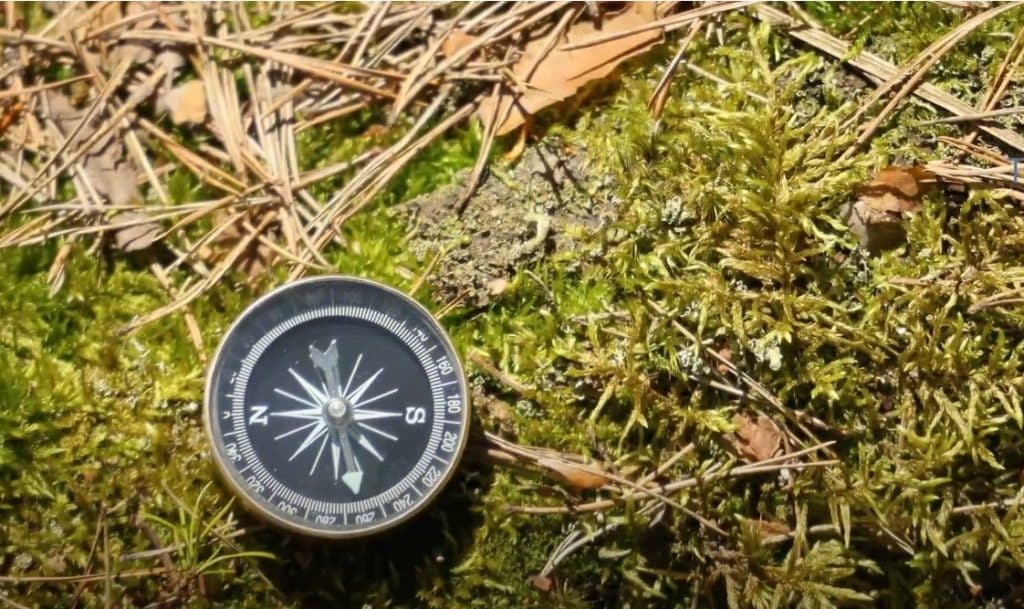 Best Compass Top Picks