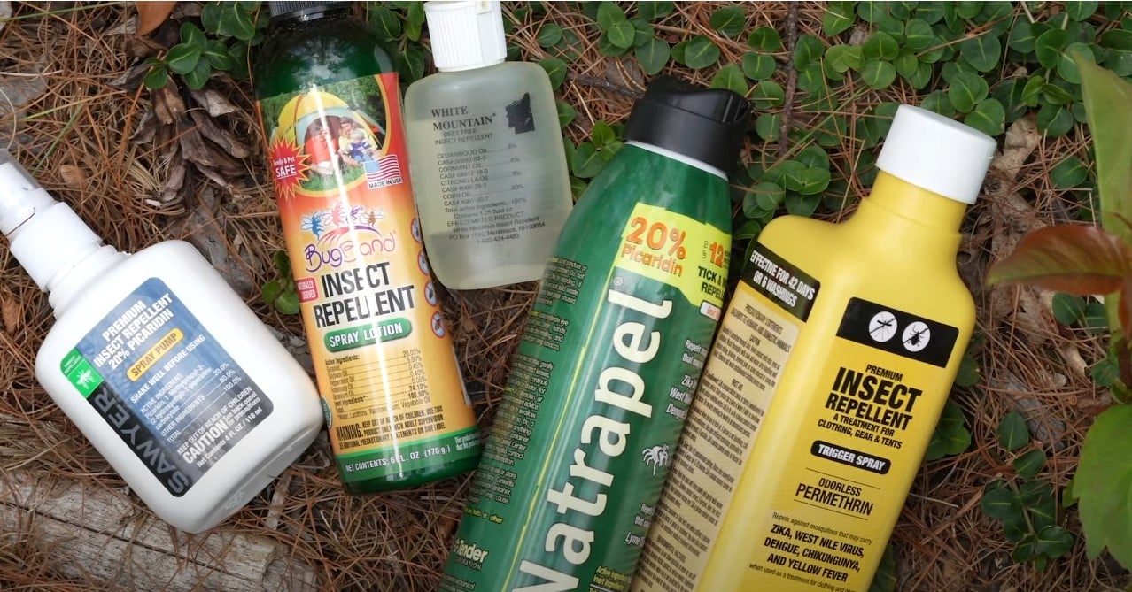 Top 3 Bug Sprays for Campers and Survivalists