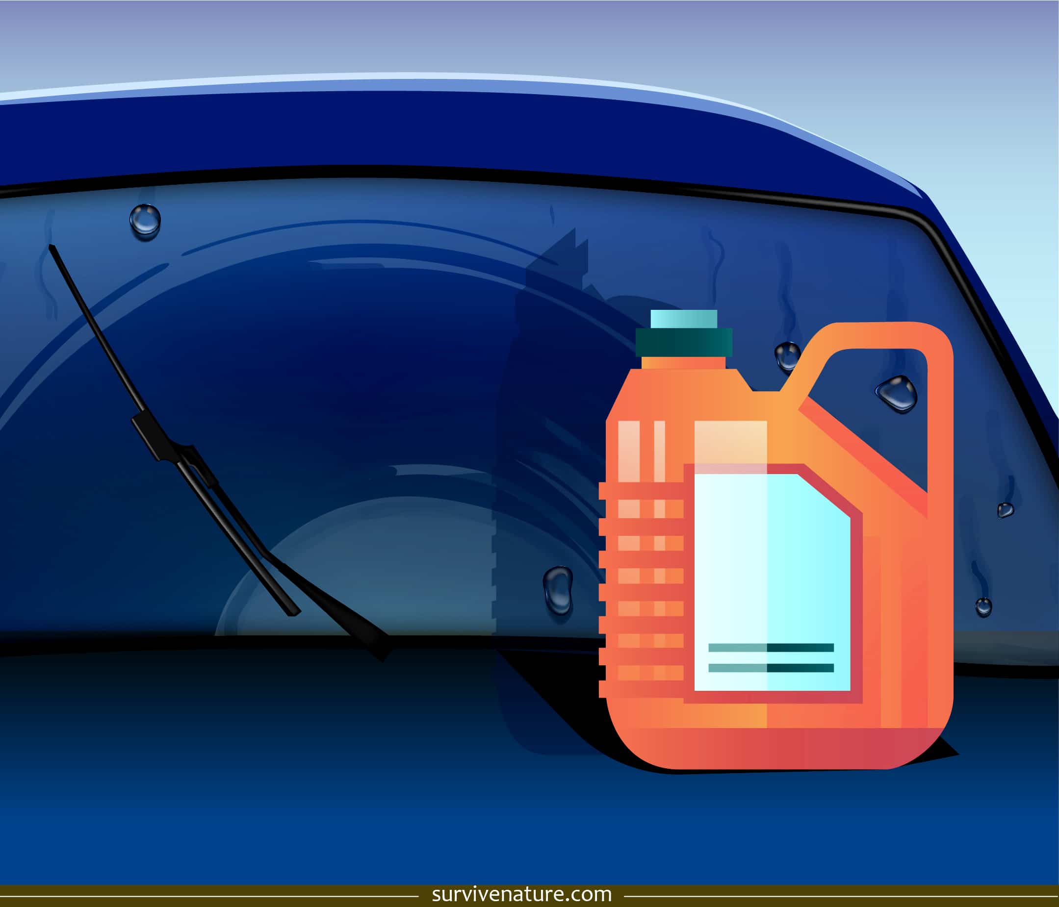 Best Windshield Wiper Fluid Review and Buying Guide Survive Nature