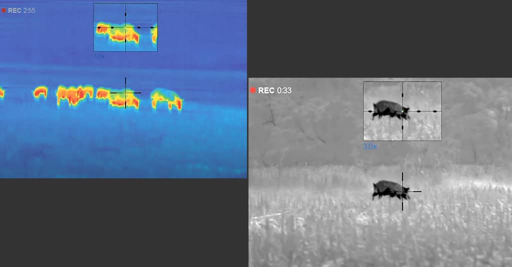 Thermal Scope Or Night Vision Scope?