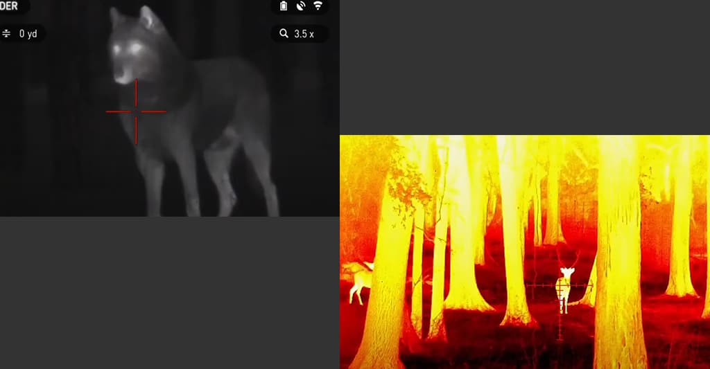 Thermal-Vs-Night-Vision