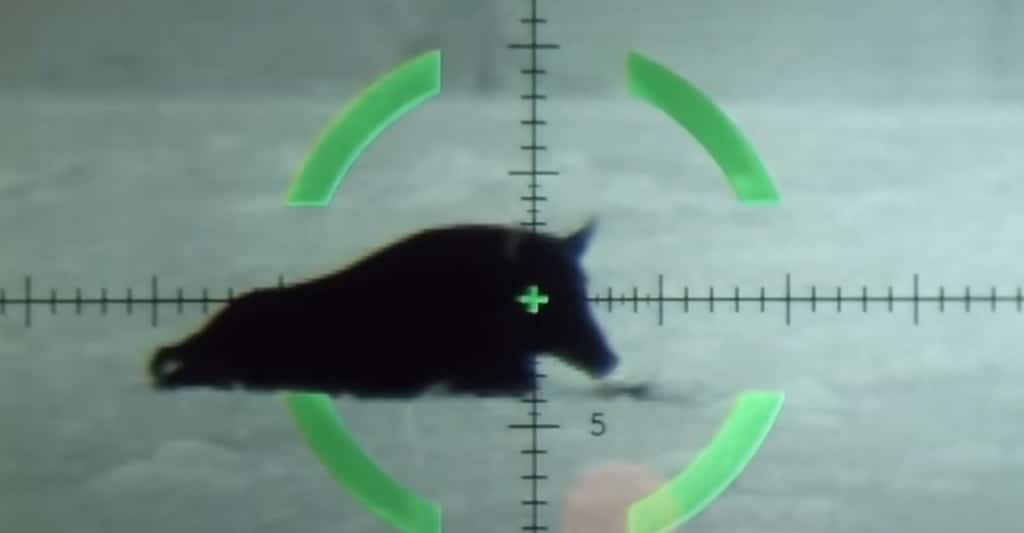 Reticle Options