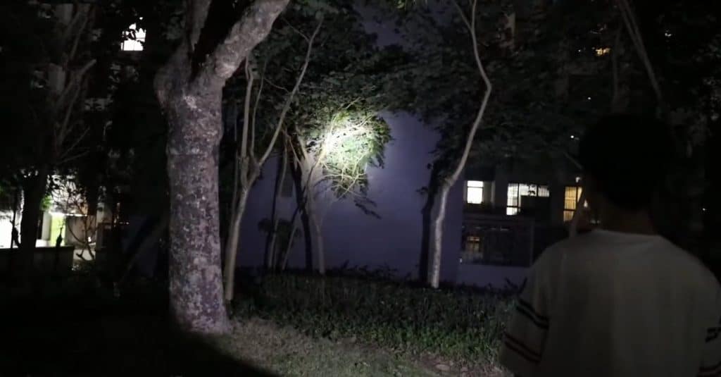Great Handheld Spotlights For Survival